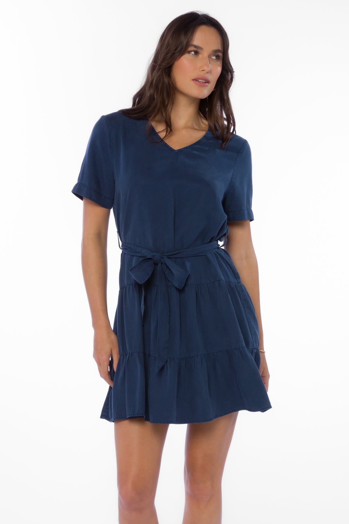 Arrow French Navy Dress