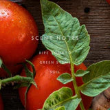 Linnea - Heirloom Tomato Room Spray