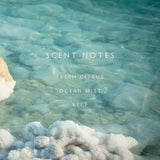 Linnea - Sea Salt Room Spray
