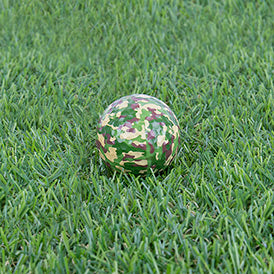 Camo Golf Balls