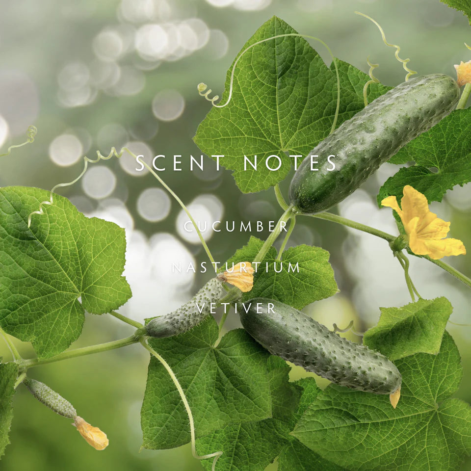 Linnea - Cucumber Vine Room Spray