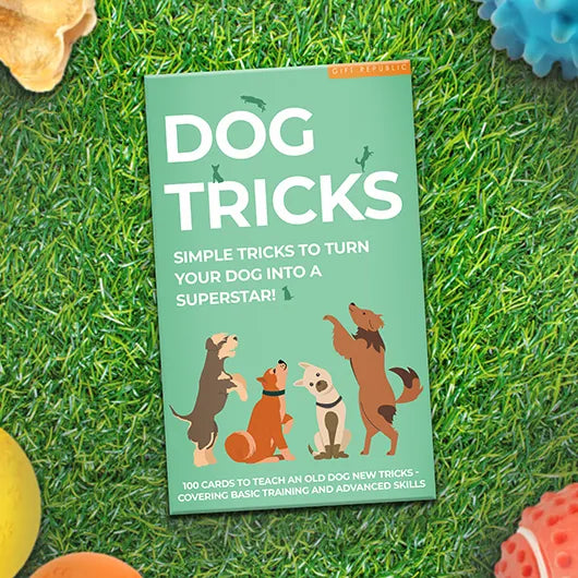 Dog Tricks Stache dog-tricks-stache