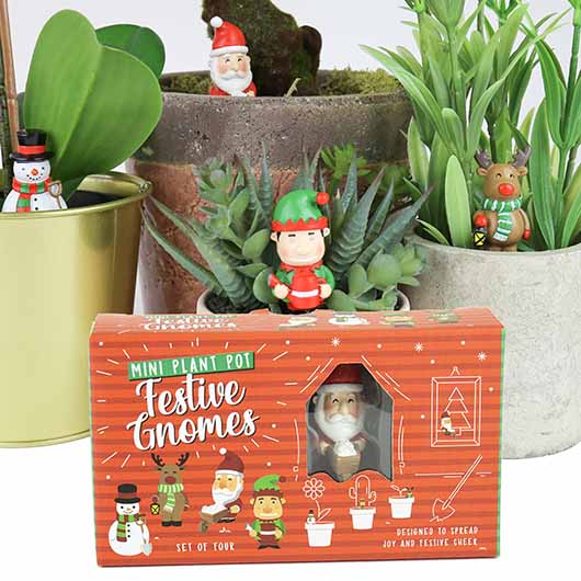 Festive Holiday Mini Plant Pot Gnomes