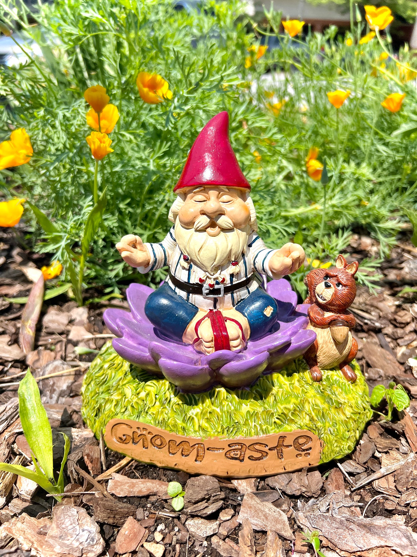 Garden Gnomes