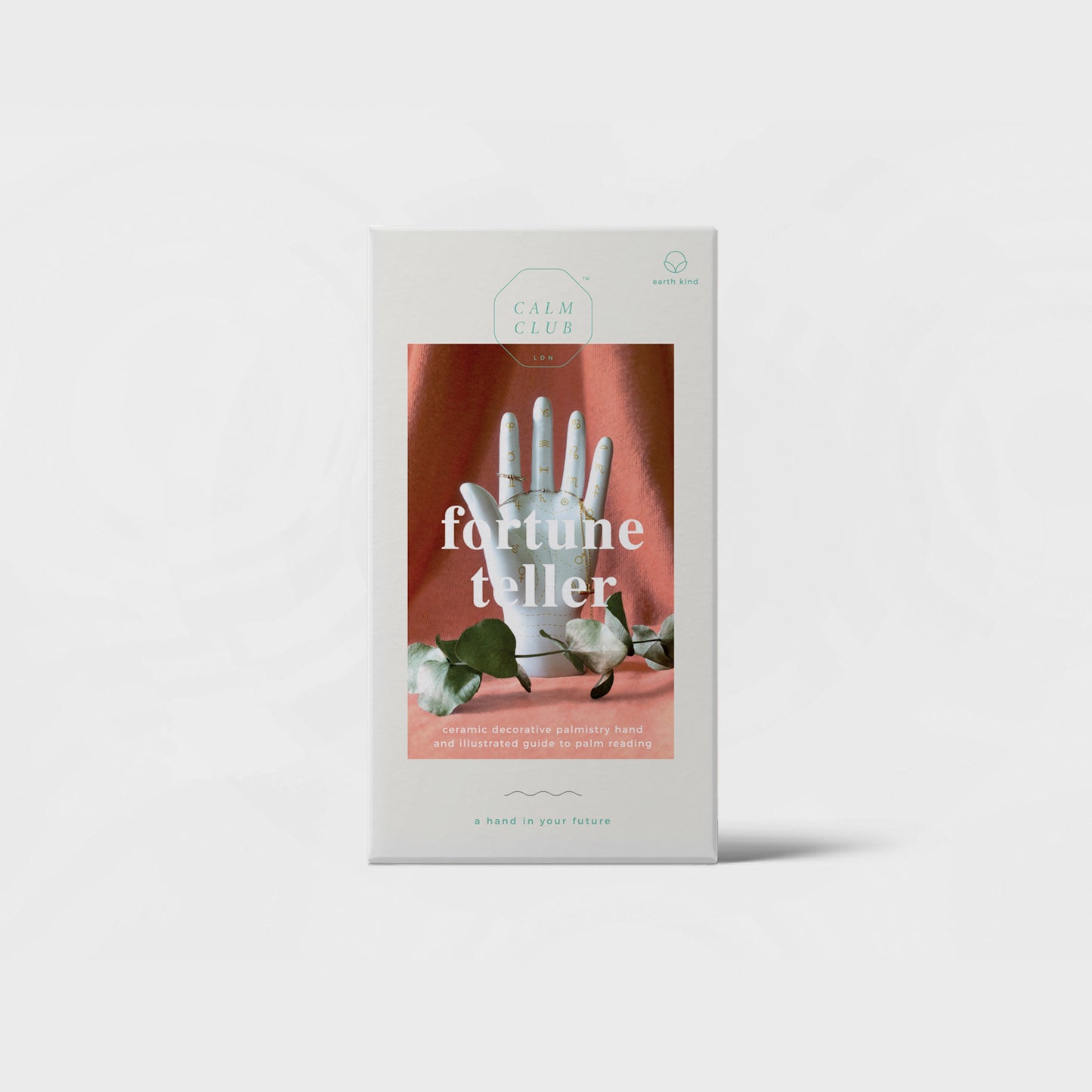 Fortune Teller Palmistry Hand