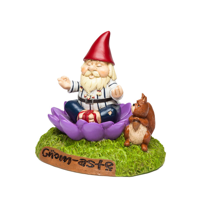 Garden Gnomes