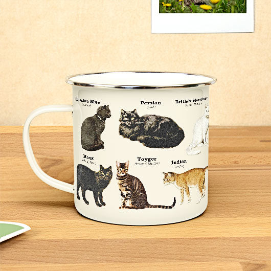 Enamel Mugs