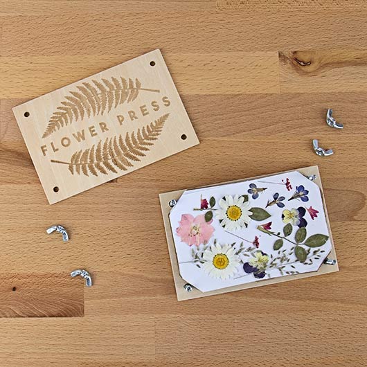 DIY Kits