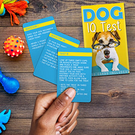 Animal IQ Test