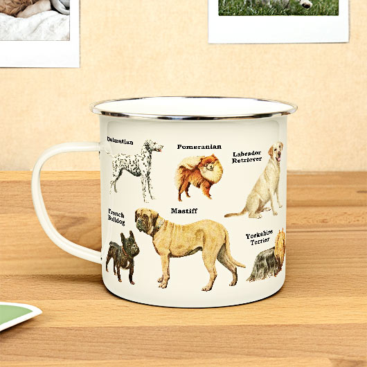 Enamel Mugs