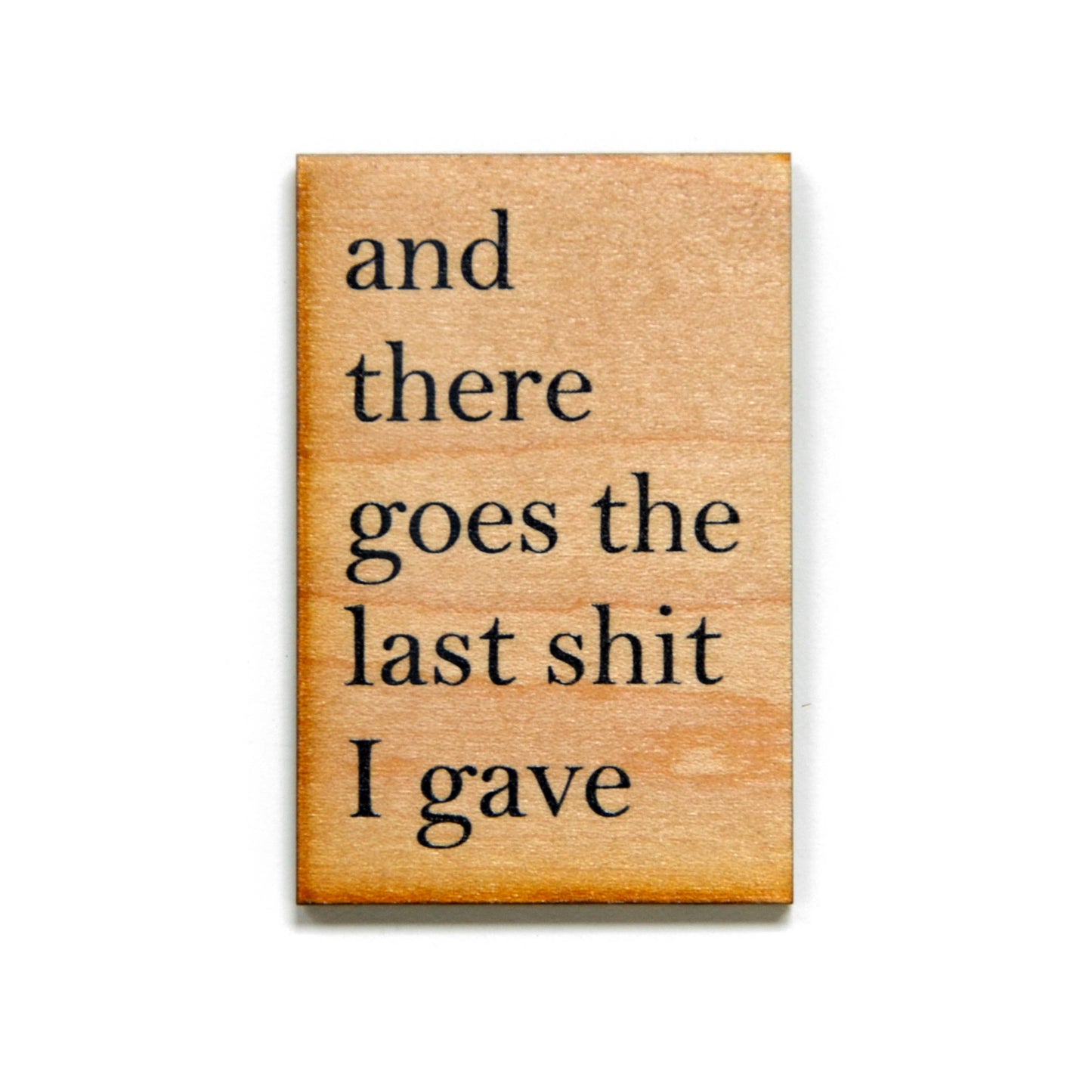 And There Goes The Last Shit I Gave Magnet