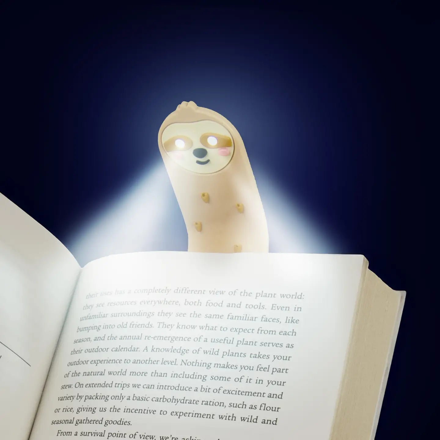 Reading Light & Bookmark