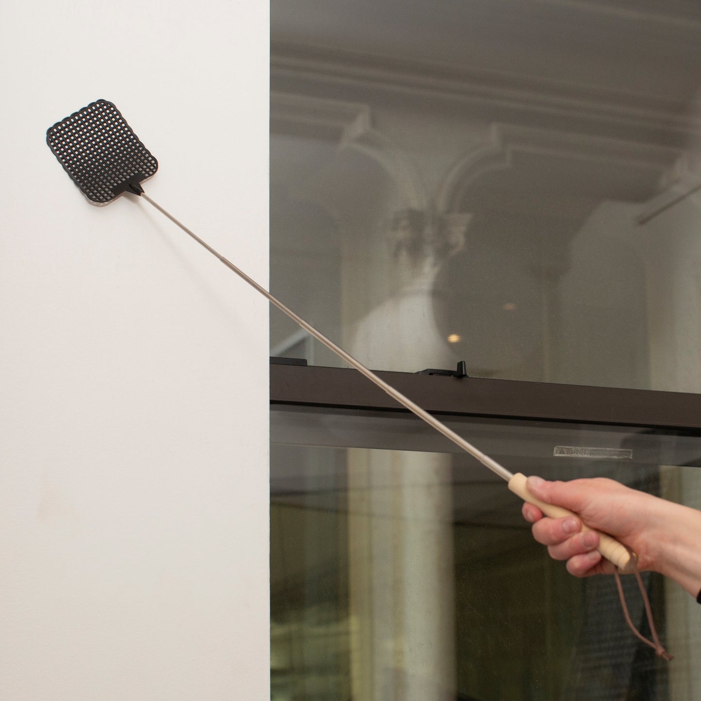 Telescopic Fly Swatter