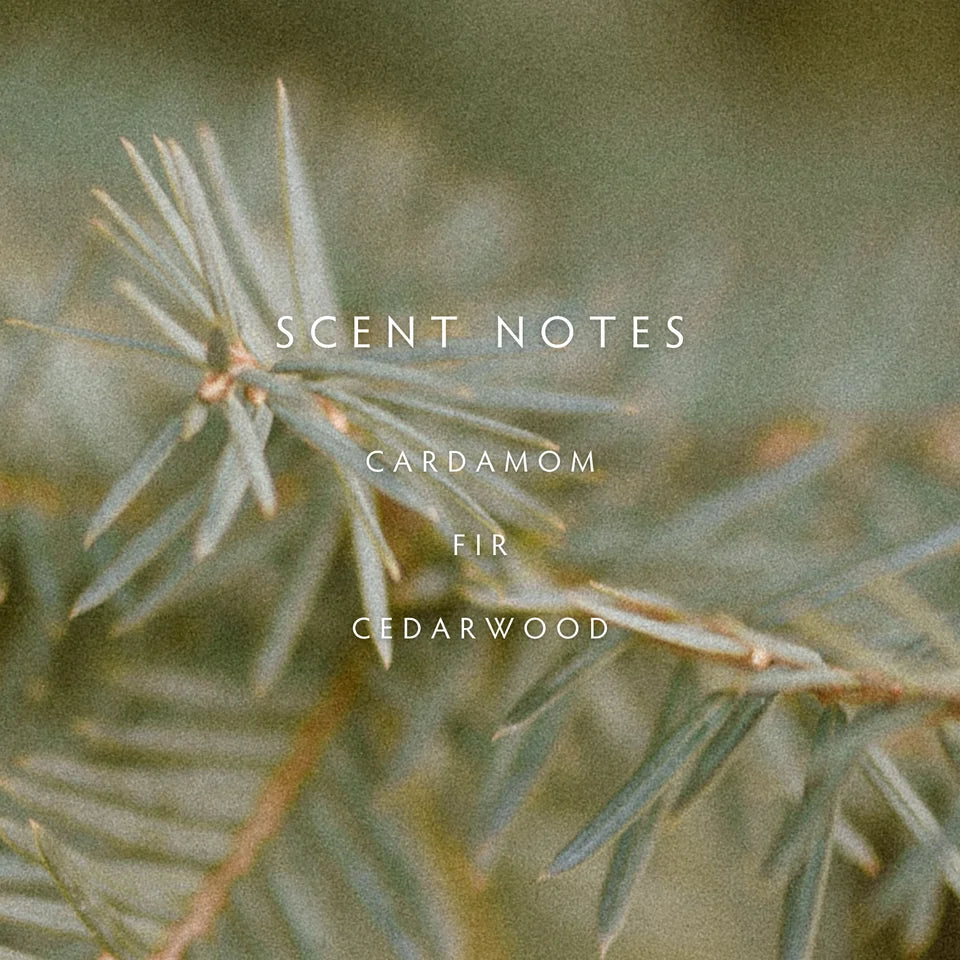 Linnea - Cedar Cardamom Reed Diffuser Kit