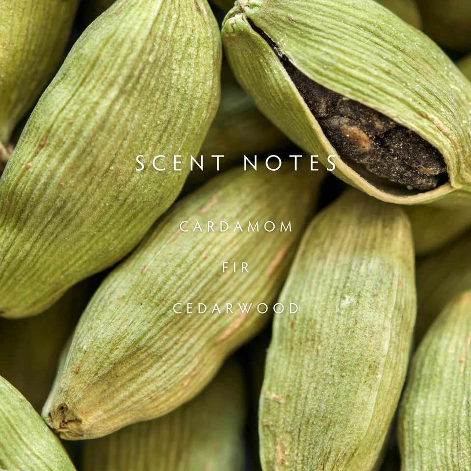 Linnea - Cedar Cardamom