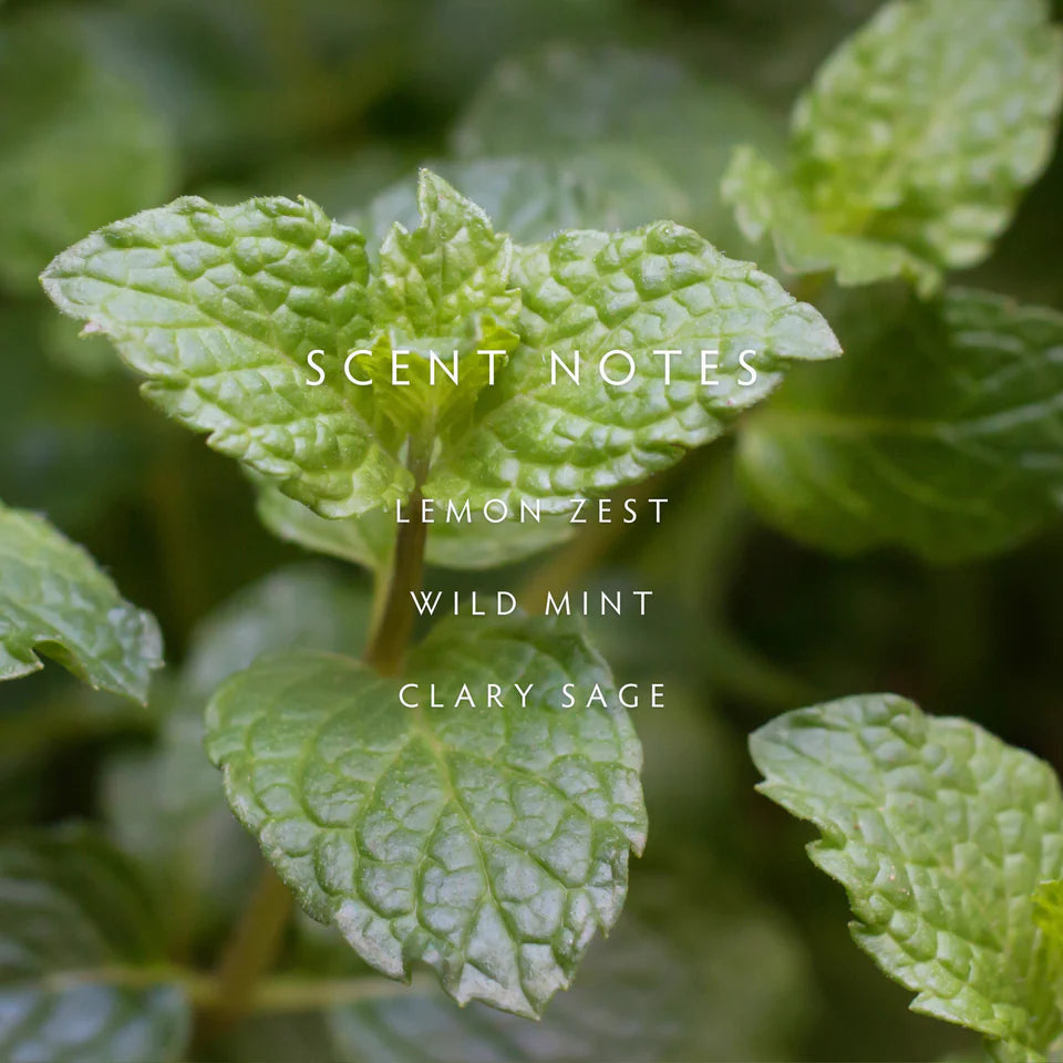 Linnea - Crushed Mint Room Spray