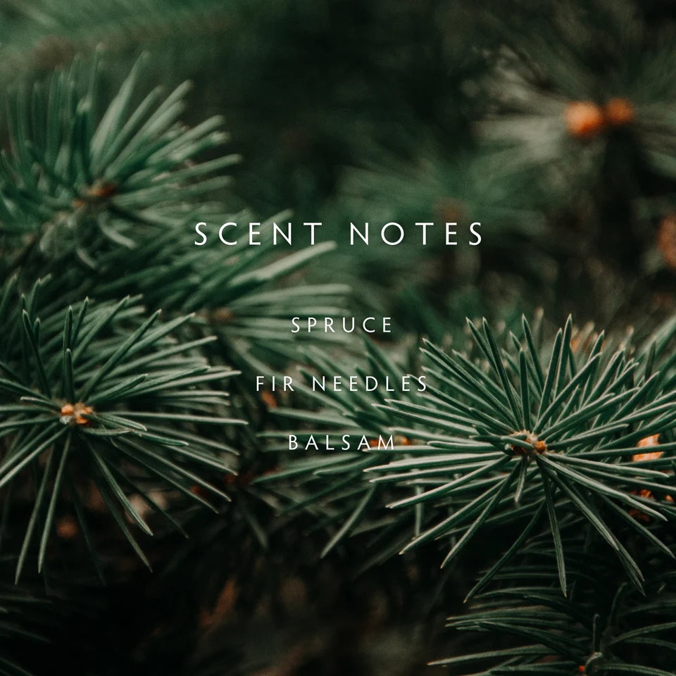 Linnea - Forest Fir Candle