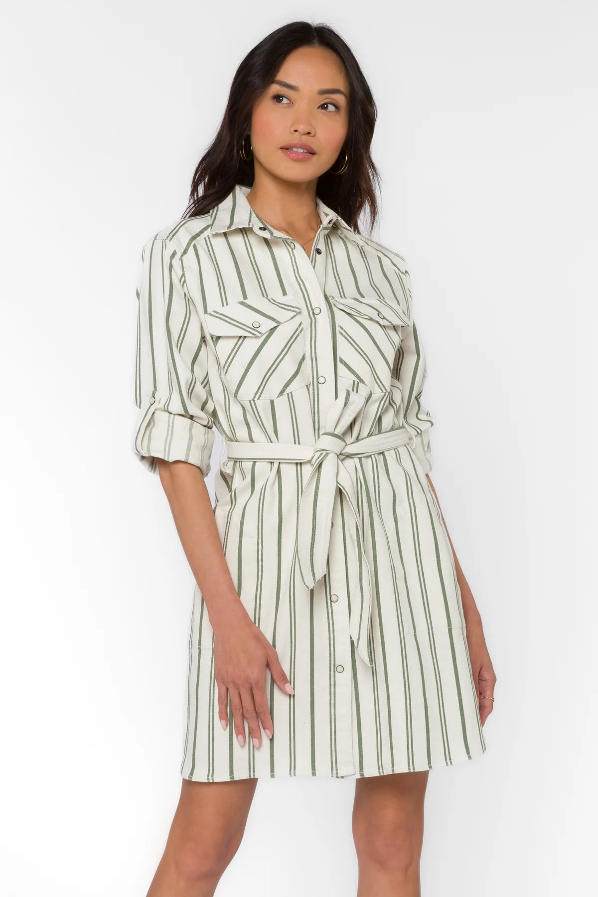Olive Striped Denim Dress