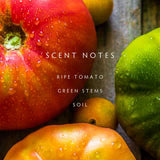 Linnea - Heirloom Tomato Candle