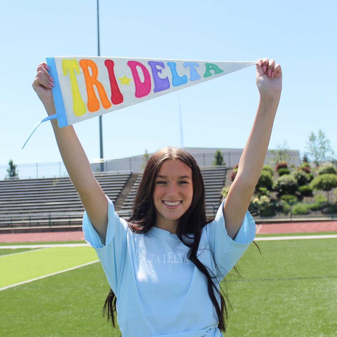 Greek Rainbow Pennant Flag