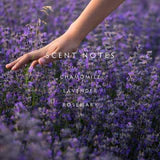 Linnea - Lavender Rosemary Room Spray