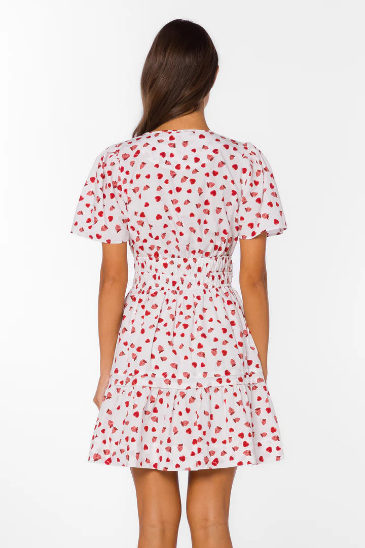 Stilla Strawberry Fields Dress