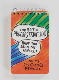 Blue Q Spiral Notebook