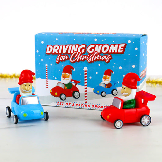 Driving Christmas Gnome