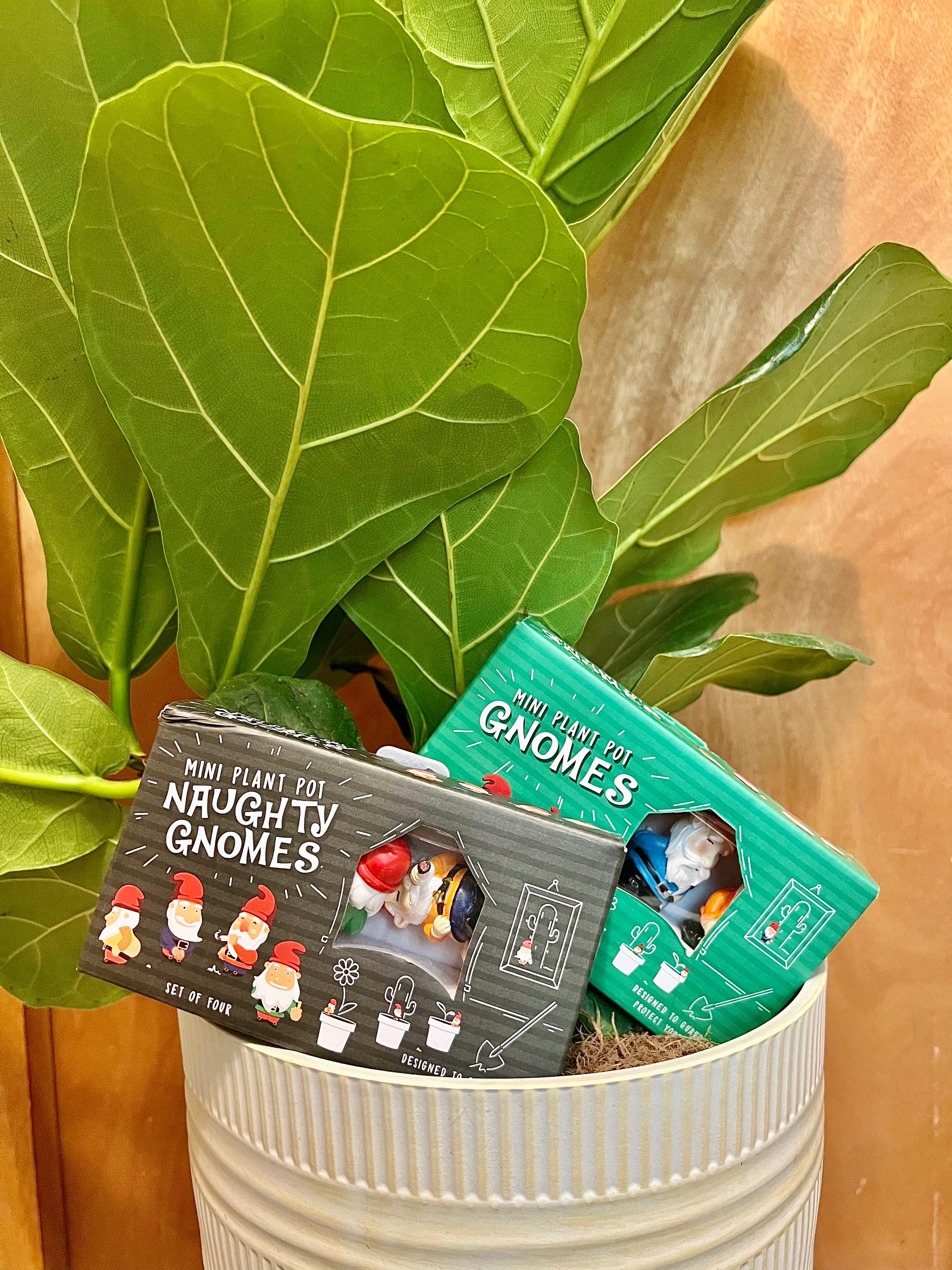 mini plant pot gnomes Mini Plant Pot Gnomes