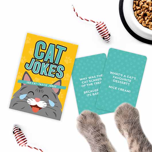 Cat Jokes Trivia Cards