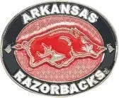 Arkansas Razorback Pin