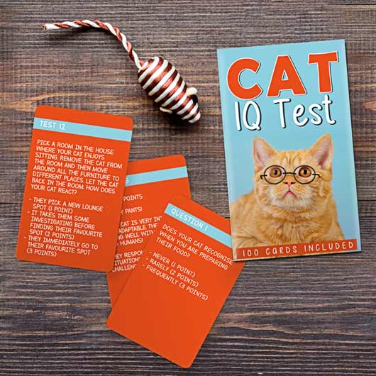 Animal IQ Test