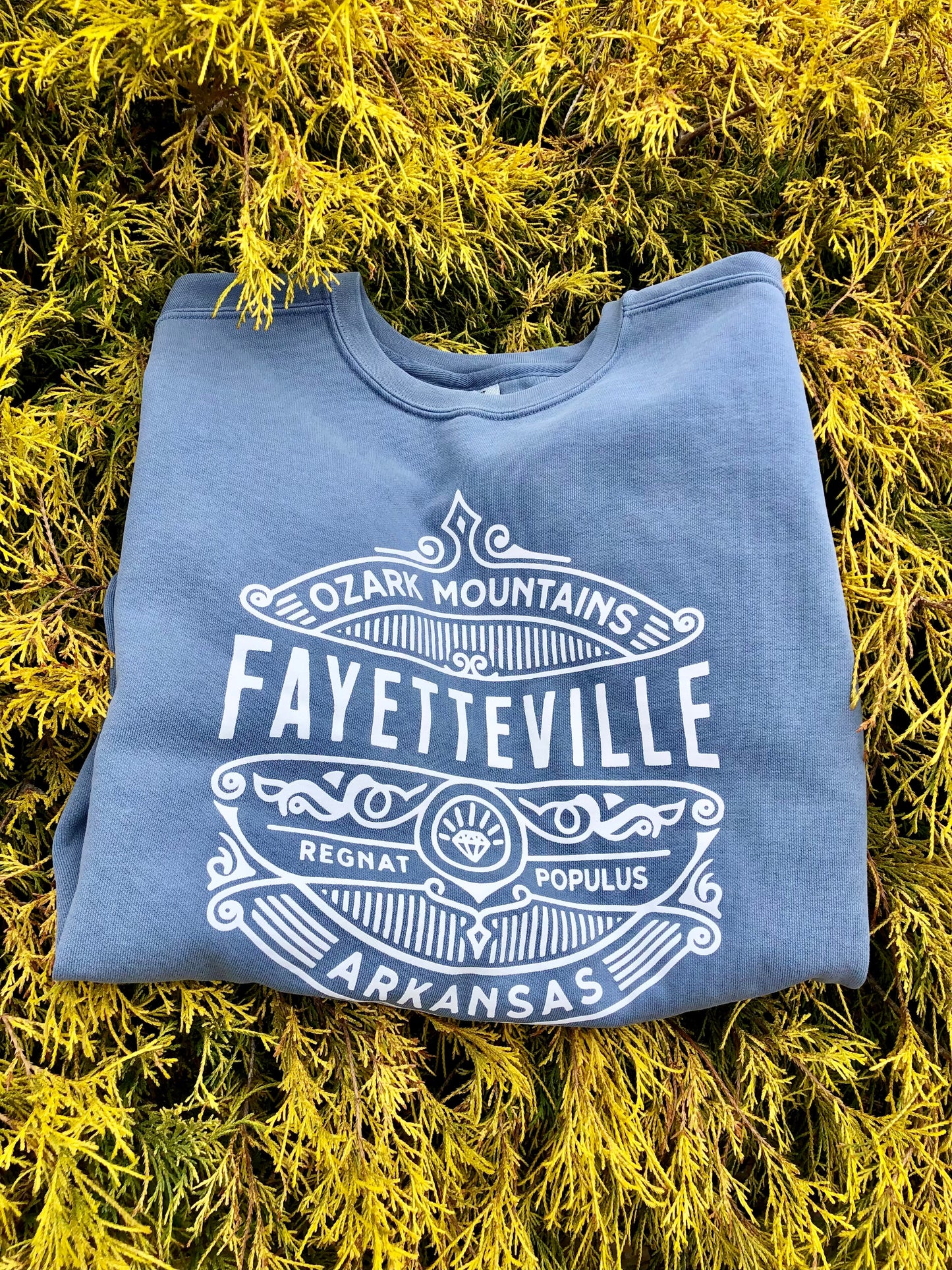 Fayetteville Sweatshirt